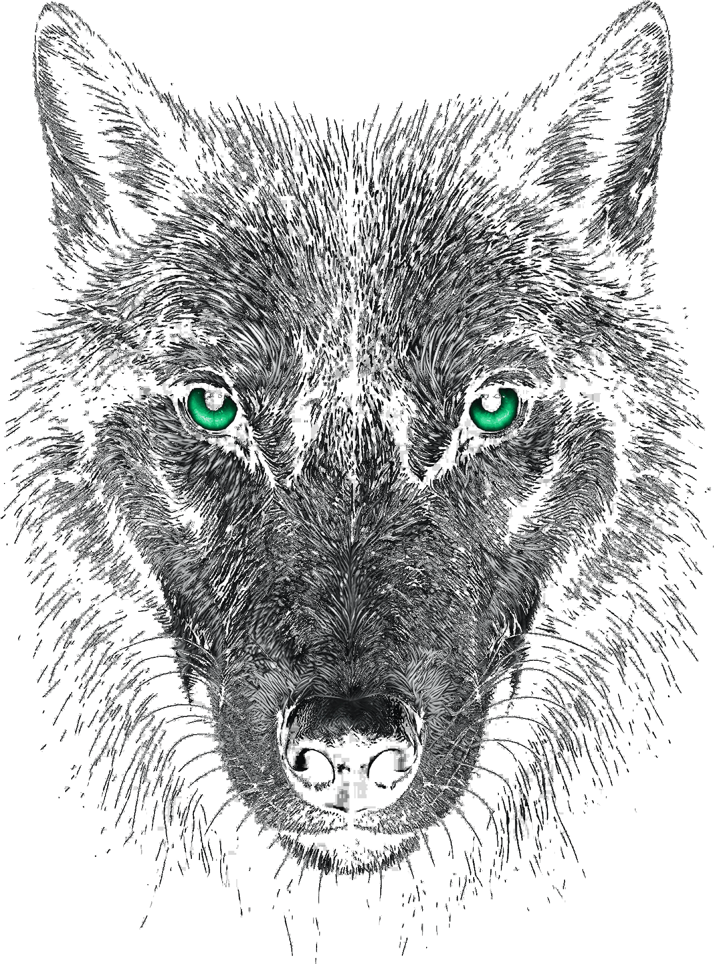 Focused gaze — your mind is your most valuable asset